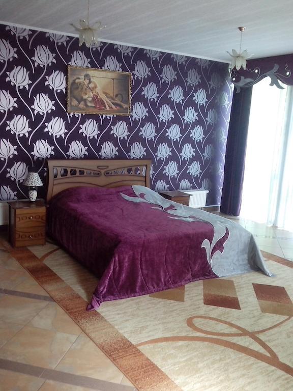 Morshynska Vezha Hotel Rum bild